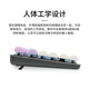 罗技（Logitech）【小兔紫】K845机械键盘 游戏键盘 办公键盘全尺寸办公家用背光电竞吃鸡键盘MOA高度球型键帽 K845-茶轴-小兔紫+G102有线鼠标白色
