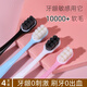 OWI toothbrush soft hair home decoration for home use 8 bunches of 10,000 fur for adult men for high-end ladies couple fine hair
