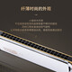 Orientaler Dingakzent Mundharmonika 21 Loch importiert Gong T2110 Performance Level 12 Töne für Anfänger und Studenten professionelle Musikinstrumente D Tune