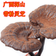 健颐年野生黑灵芝500克 广西十万大山整枝灵芝深山含孢子粉煲汤 500克