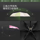 Beneunder (beneunder) UV protection sunny umbrella 50% off Guima series vinyl sun protection umbrella strawberry grid