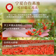 Fudonghai Red Wolfberry Astragalus 1000g Kombination Ningxia Red Wolfberry Ausgewählte Gansu Astragalus -Suppe in Wasser für die Gesundheit eingeweicht