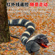 ZF-Kinder-Dekompression Streichspielzeug Simulation Fernbedienung Centipede Snake Spider Little Boy 3-5 Jahre alte Schwarze Technologie Animal [Schwarzes Modell] Simulierter Klapperschlangen 9909+ Schraubendreher offizieller Standard