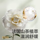 babycare山茶花纸尿裤夜用尿不湿婴儿超薄透气花苞裤bbc尿布夏日 纸尿裤【S】30片 适合4-8KG
