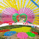 Windmühle Dekoration im Freien drehende Kindergärten kleine Windmühle sechsteines malerischer Bereich hängende Kunststoffwindmill-Saiten Spielzeug Windmühle verdickte vier reine 22 cm/100+30 m Stahl Seil gemischtes Haar