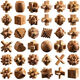 Liuxia Luban Lock 10-15 Jahre altes Set von Kongming Lock Beech Wood-Einleger und Zapfenentwicklung intellektuelles Spielzeug pädagogische Kinder und Studenten Buchenholz 36-teilige Set Full Set [Geschenkbox]