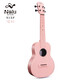 
Tom's Nalu carbon fiber ukulele beginner for beginners with small guitar for men and women children 23-inch N1 23-inch black