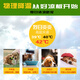 
The first concept of DOGSTORY pet cooling aluminum alloy plate dog, cat, hamster, rabbit, summer cooling and cooling plate protection, small pet special 15828cm