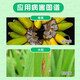 Make 100g ADAMA Huifeng 45% prochloraz fruit tree crown rot anthracnose rice blast white rot pesticide fungicide 100ml