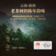 华祥苑茶叶 普洱熟茶3年陈勐海普洱小金砖自饮口粮装160g