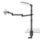 NEEWER TL253A Desktop Bracket Cross Arm Lamp Stand Extended Photography Fill Light Stand Live Broadcast Mobile Phone Camera Ring Lamp Bedside Support Stand Photography Photography Adjustable Universal Bracket Desktop Bracket with Folding Wishbone Rod TL253A+MH022