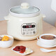 SUPOR ELECTRIC POT POT MAISON STANG ÉLECTRIQUE POT ORIGINAL MINDE PUPLE POT PORT INTERT