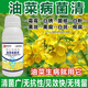 Special pesticide for rapeseed pathogen sclerotinia downy mildew mosaic and white rust 1 bottle*100g