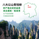 Qingqianliu Wholesale Water Repairing Gold Money Liu Zhangjiajie Qingqianliu Hunan Chengbu Tea 156g of tender leaves Spring picking two cans