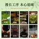 茶吉缘藏兮 乌龙茶叶武夷岩茶大红袍一级120g  中火