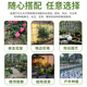 两腿跑【送货上门】爬藤架葡萄黄瓜豆角架种菜花支架庭院园艺花卉支撑杆 粗8mm长150cm10支 特大