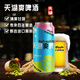 Tianhu Beer Refreshing 8 Degree Lager Beer 500*24 cans full box fresh and light