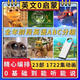 Chuangjingyi выбирает мультфильм U Диск телевидение маленькие дети английский просветление мультфильм U Disk Zero Foundation Learning Englis