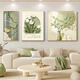 
Aohan modern simple living room decoration paintings, fresh green plants, auspicious and warm home creative triptych paintings, sofa background wall hanging paintings, JD15689 30*60/40*60/60*60cm texture oil canvas ps gold frame [matte]