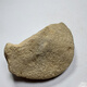 Xucui XC3889500g Moxisha Big Brand Material Jade Raw Jade Jade Rohmaterial