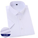 EAEOVNI short-sleeved shirt men's business formal wear summer thin white shirt men's large-size ice silk professional wear work clothes pure white short-sleeved [quick arrival] 39 [115-130Jin[Jin equals 0.5 kg]]