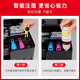 臻印彩适用佳能G2870 G3870 G3871 G3872 3831 3880 G4891打印机墨盒墨水 【GI-81黄色-70ml】约6000页