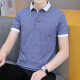 CAIDEN KETCH男装品牌短袖polo衫t恤男士2025夏季新款商务休闲百搭透气上衣服 白色679 【现货速达】 XL （建议126-140斤）