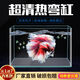 Changjiong transparent heiß gebogene rechteckige ultra-weiße Glas Goldfischtank Tropical Fish Tank Aquarium kleine und mittelgroße Landschaftsgestaltung ökologischer Fischtank 20*14*16 Standard-Set