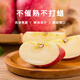 Jingxiansheng Shandong Yantai Red Fuji Apple Net weight 9Jin Jin is equal to 0.5kg Fruit diameter 80mm+ Fresh fruit Straight from the source