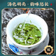 Sanyin Tea Green Tea 2025 New Tea Before Rain Spring Tea Clouds and Fog Alpine Green Tea Rich Flavor Bag 500g Drink it yourself
