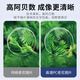 玉品堂老花镜男女款 超轻便携老花眼镜 高清耐磨时尚花镜中秋送礼 G5024-紫红色  300度建议66-70岁