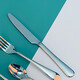 DAYZEAL304 stainless steel western restaurant knife and fork spoon 420 steak knife breakfast buffet tableware 838 series knife and fork spoon main dining knife 22.1*1.8cm 12 packs