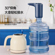 Royalstar water pump, bottled water, electric water dispenser, automatic water supply, high-power water pump, large barrel water pressure device, household mineral water pumping artifact, pure water barrel water dispenser, double pump model - high power + upgraded battery, durable battery life