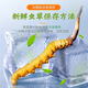 
[Tibet Straight Hair] Authentic First Fresh Cordyceps 2025 Selected High Altitude Fresh Cordyceps SF Cold Chain 0.5-0.6g/root 100 Roots