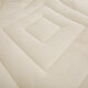 Antarctic (home) Class A milk velvet embroidered quilt in winter thickened warm quilt in winter college dormitory single quilt core quilt beige [3 seconds speed 150x200cm [Spring and autumn quilt about 4 Jin [Jin equals 0.5 kg]]