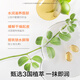 Hi!papa Turtle Daddy Lip Balm Moisturizing Men and Women Moisturizing Water Locking Waterproof Anti-Cracking Deep Peel-Removing Lip Balm*2