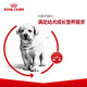 ROYAL CANIN Royal Canin Dog Food Puppy Food A3 Suitable for dogs aged 1-12 months A3 General Puppy Food 8KG*2