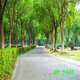 山头林村主播背景布3D立体网红直播间背景山水户外风景背景布 ZP-10975 2米宽+2.5米高(2.5米高)