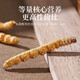 Xueyuantang cordyceps sinensis целый насекомые сломанная трава Аутентичные Cordyceps Выбранные тонические продукты Плато Cordyceps Целые насекомого китайское лекарственное тонизированное продукты около 0,3 г/корень (целая сломанная трава насекомых)
