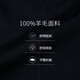 沙驰SATCHI秋冬轻暖双面呢商务男士西服外套男装100%绵羊毛耐皱西服 藏青48