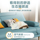 Huiyue (no) multi-functional sofa bed for sitting and sleeping, foldable single bed, double bed, simple sofa for living room, small apartment, cat scratch leather, light blue, colorful sponge style, 1.8 meters long