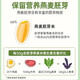Yinshan Youmai Mongolia Inter
