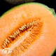 Shouhe Xinjiang Hami Melon Seeds Southern and Northern Early-maturing Super Sweet Xiangfei Reticulated Honeydew Melon Shouhe Xiangyang Hami Melon Seeds 30 capsules x 10 high sugar