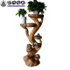 Shiting Jugen Scarbed Rack Base rondins en bois massif Racine de racine sculptée de racine arborescence