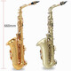Calhofna Allemagne Calhofna Performance Professional Grading Examining saxophone Vent Instruments pour les débutants E-plate électroménérat