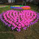 Yingrong Windmill Outdoor Dekoration Sport trifft Kindergärtner Kinder handgefertigtes Windmühlenspielzeug hängen Salon Vierblatt Diagonaldurchmesser 17cm100 gemischte Show Siehe das Hauptbild