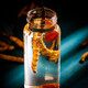 San Dikang Cordyceps sinensis, New Cordyceps secos sinensis 3 raíces/g [1 gramo de degustación]