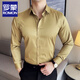 
ROMON high-end touchless shirt men's long-sleeved slim elastic spring and autumn new style free iron business casual men's wedding shirt light blue 38/S