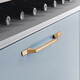 Preda golden cabinet door handle Nordic light luxury wardrobe lengthened handle Modern simple furniture drawer cabinet handle 6227C/square hole/shajin