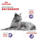ROYAL CANIN Royal Cat Food SA37 Neuter and Care Adult Cat Food 2kg Neuter and Care Adult Cat Food 2kg